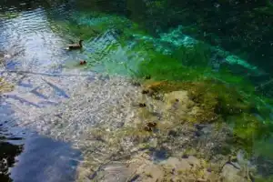 Путешествие-впечатление к Голубым озёрам - 6