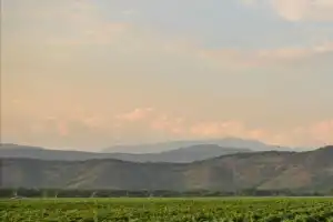 По Кахетии из Тбилиси: «Ешь. Молись. Люби. И пей!» - 4