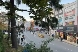 Все 33 гастрономических удовольствия Стамбула - 6