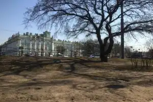 Александр Блок и Петербург - 13