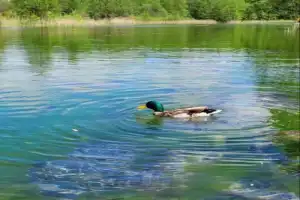 Казань с разных ракурсов и поездка к Голубым озёрам - 7