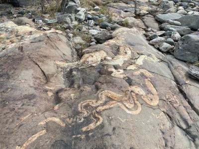 Исцеляющее путешествие «В поисках своего Сампо» - 5