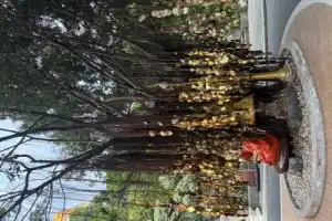 Вечерний Бангкок: закат, уличная еда и тайны мегаполиса - 13