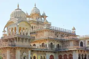 Тигры в дикой природе: заповедная и популярная Индия - 5