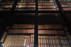 Манускрипты Британской Библиотеки Манускрипты Британской Библиотеки
