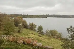 Мурманск: обзорная гастроэкскурсия с ароматом кофе - 4