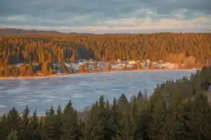 Остров Риеккалансаари — от тайги до лесотундры - 6