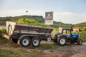 Винная экскурсия: Soave — вино любви - 14