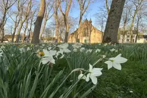 Классический Брюгге с неклассическим содержанием - 24