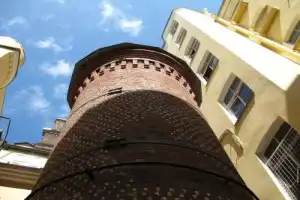Ora et labora. Истории и легенды аптеки доктора Пеля - 7