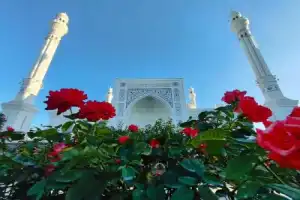 Из Дербента — в Чечню - 3
