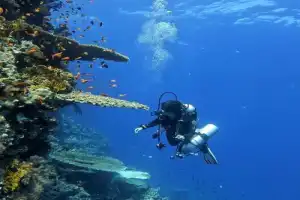 По Красному морю — на дайверской яхте - 5