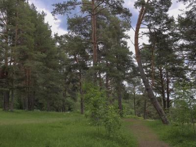 Урочище Чертов стул и финский суп - 9