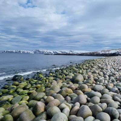 Териберка — там, где север встречается с теплом сердца - 3