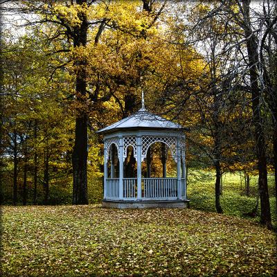 Усадьба Глинки — Новоспасское - 2