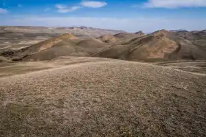 Две Кахетии за 1 день: пещерный монастырь Давид-Гареджи, пустыня и город Сигнаги - 7