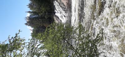 Белое море, Колвицкие водопады и древнее место силы (из Кировска) - 9