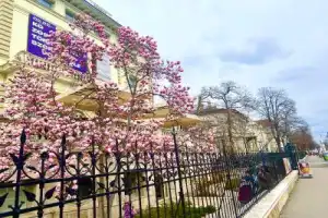 Летний Будапешт на микроавтобусе: панорамы с Цитадели, главный рынок и руин-бары - 6