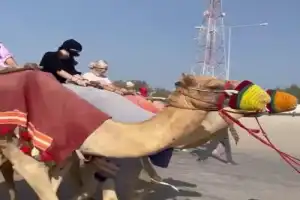 Сафари из Дохи — к Хор-аль-Адаид - 9