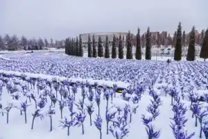 Современный Краснодар: парк Галицкого - 15