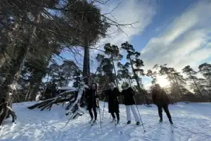 Приключение-поход по Серебряному Бору с самоваром! Приключение-поход по Серебряному Бору с самоваром!