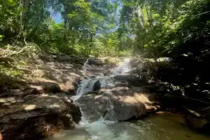 Экскурсия-треккинг: джунгли Пхукета + водопад - 5