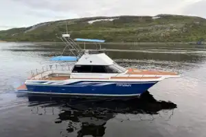 Поиск китов на скоростном катере — из Териберки