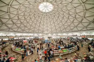 Все краски Ташкента - 4