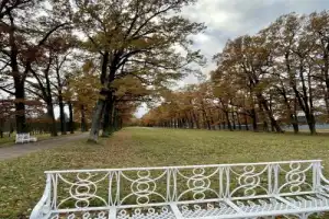 В Екатерининский и Александровский дворцы и парки (в группе) - 13