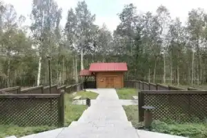 Природа Карелии: по следам древних ледников и Петра I - 9