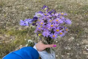 Поход на гору Артаниш - 8