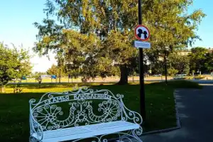 Обзорная экскурсия «Петрозаводск и мировой кинематограф» - 12