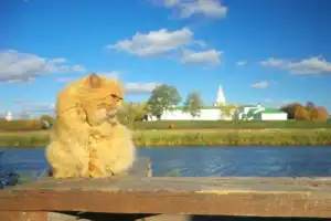 Как Суздаль жил-поживал - 3