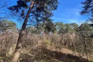 Знакомьтесь, Звенигород! - 10