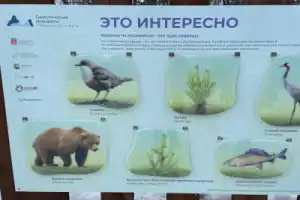 Русскими дорогами Финляндии - 11