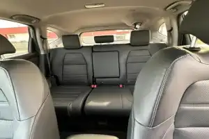 Трансфер из Бреста на экскурсию в Беловежскую пущу - 7