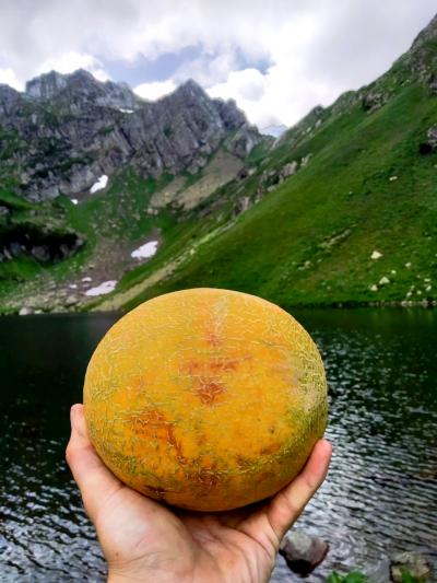 Альпийские луга и озеро Мзы - 9