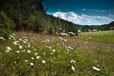 Из Вологды в Ферапонтово и Кириллов - 3