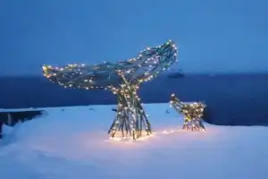 Культура, история и чудеса природы: всё самое интересное на Кольском - 6