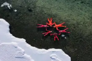 Айс-флоатинг на Байкале в мини-группе