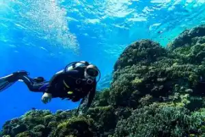 По Красному морю — на дайверской яхте