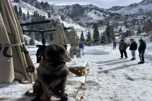 Всё и сразу в Алматы - 9