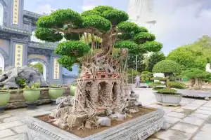 Вечерний круиз по реке Хан: Мраморные горы, Леди Будда и Мост Дракона - 7