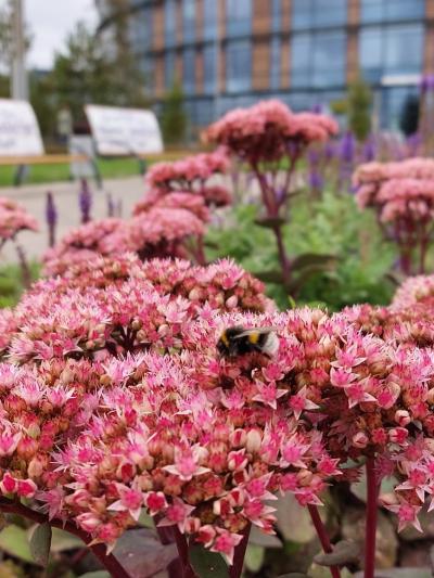 Свияжск, Тихий Плес и Иннополис: три якоря жизни - 15