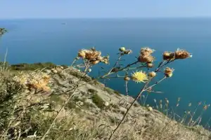Хайкинг в окрестностях Абрау-Дюрсо - 8