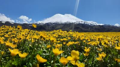 Джилы-Су, водопады, поляна Эммануэля и, конечно, суслики Джилы-Су, водопады, поляна Эммануэля и, конечно, суслики