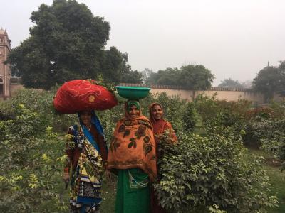 Сокровища Агры — столицы империи Великих Моголов - 6