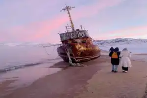 Териберка: ценные дары Баренцева моря - 2