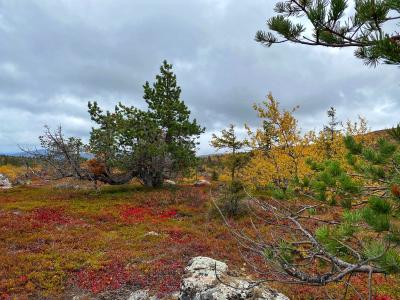 Белое море, Колвицкие водопады и древнее место силы (из Кировска) - 7