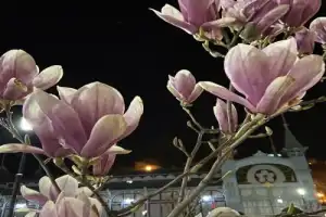 Пятигорск — город, в который влюбляешься - 13